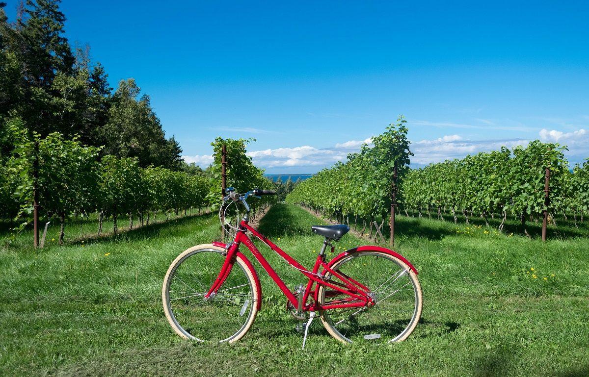 Szűkös kínálat és luxusházak a Balaton északi partján